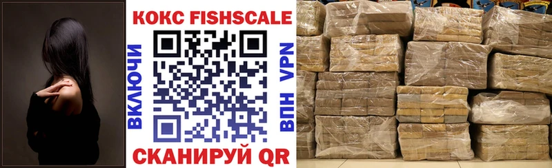 купить наркоту  Всеволожск  COCAIN Fish Scale 