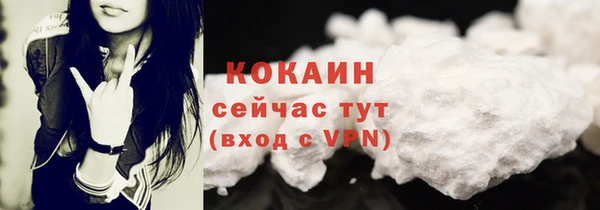 сатива Волоколамск