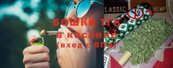 сатива Волоколамск