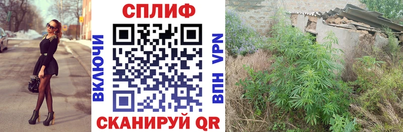 хочу   Всеволожск  Марихуана VHQ 